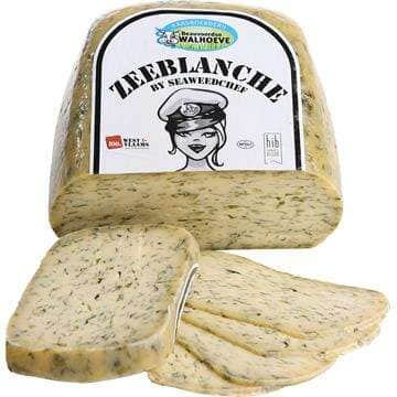 zeeblanche half met stuk en schel